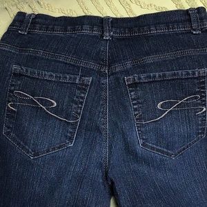 Style &Co Tummy Control Jeans